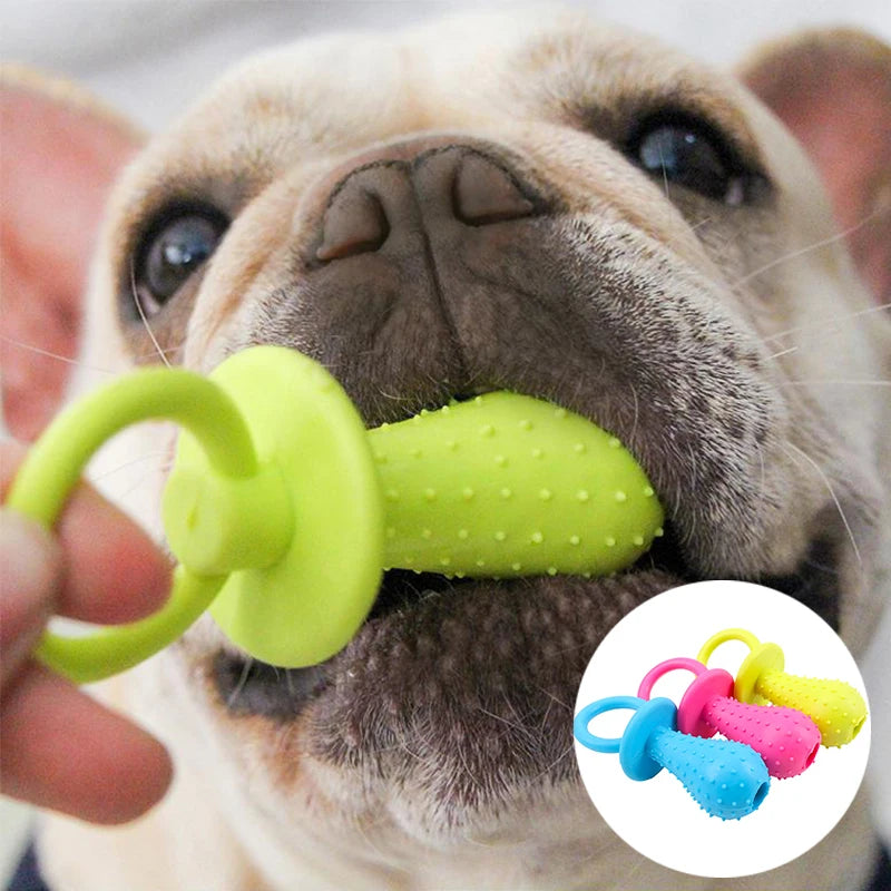 A light-colored dog is holding a bright green squeaky chew toy, with other colorful toys visible in the background.