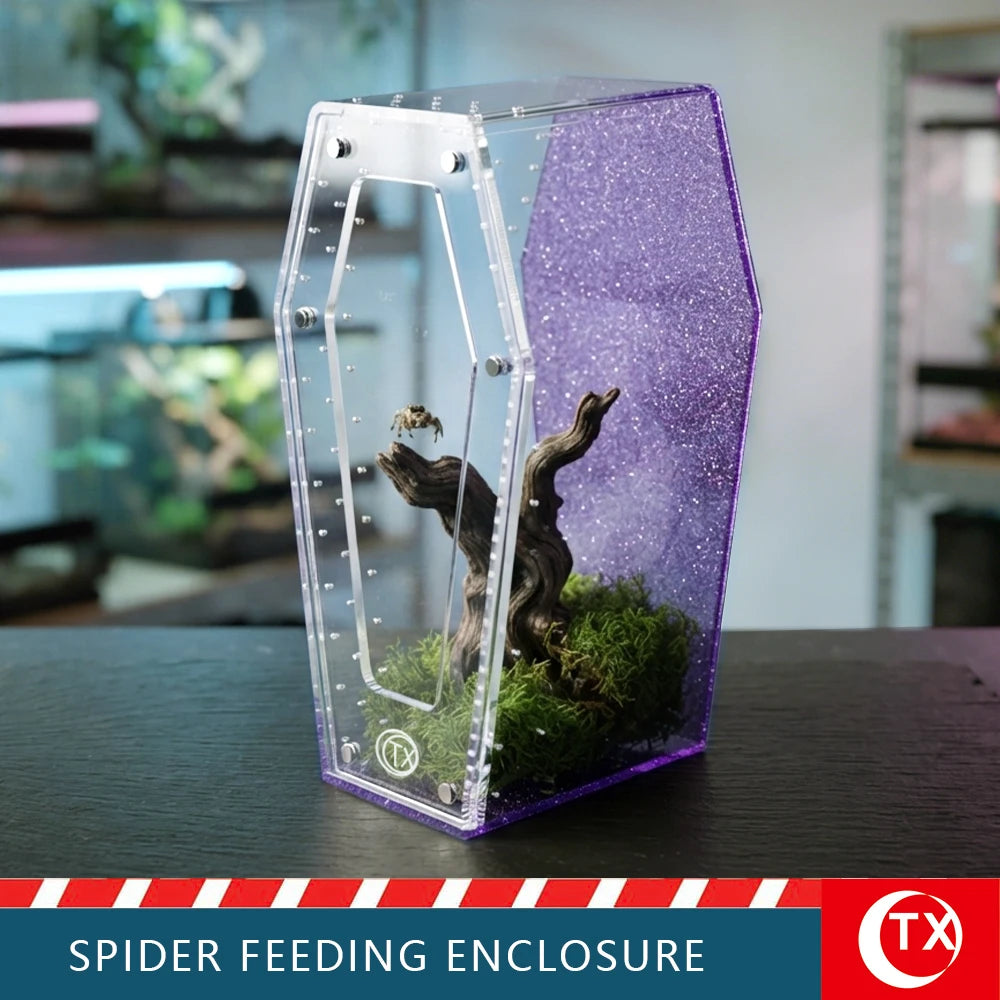 Clear acrylic spider feeding enclosure with a purple background and magnetic door