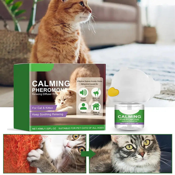 A box of calming pheromone diffuser with a kitten and adult cat shown next to the device.