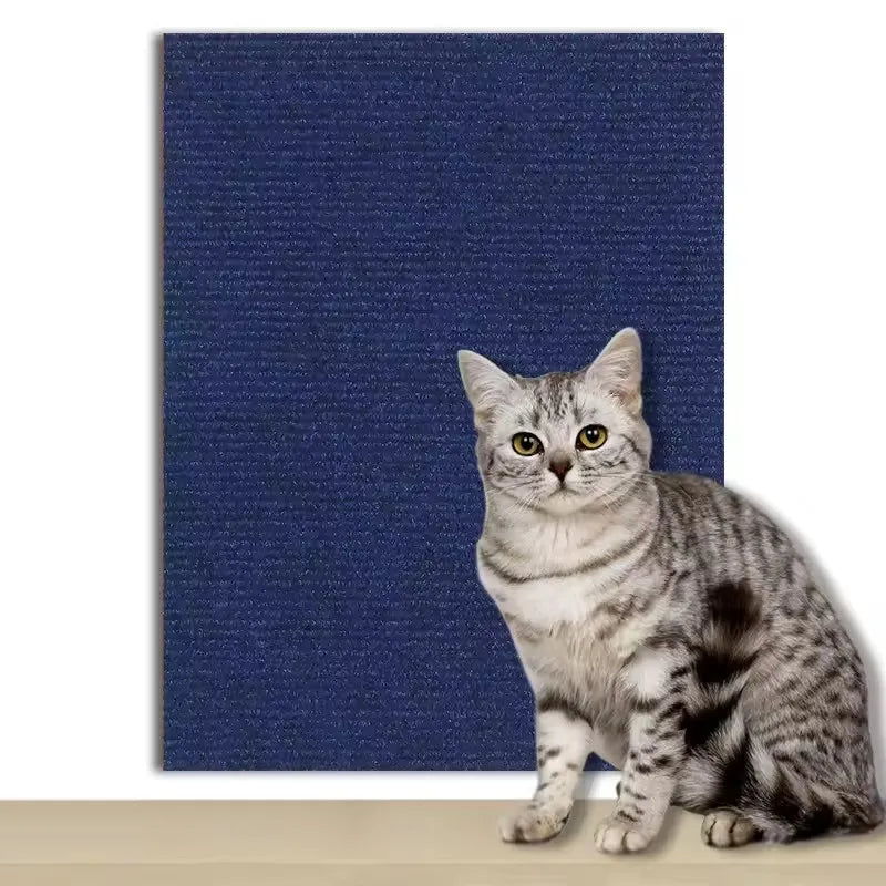 Eine graue Streifkatze sitzt auf einem dunkelblauen, strukturierten Teppich.