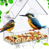 A clear window hanging bird feeder filled with seeds, featuring a small blue and yellow bird.