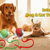 Interaktiver Hund- und Katzenspielball mit LED-Schwanz und farbigen Schnüren auf dem Boden
