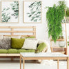 A wooden bed frame with green pillows and a glass table in a bright room decorated with framed fern prints.