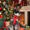 A gray dog wearing a red plaid collar, harness, and leash set with a bowtie, sitting in a festive holiday setting.