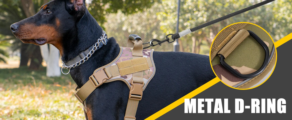 A black dog wearing a tan tactical dog harness with a metal D-ring attached for training.
