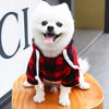 Un perro blanco vistiendo una sudadera con capucha de forro de tartán rojo y negro, sentado sobre una superficie de madera.