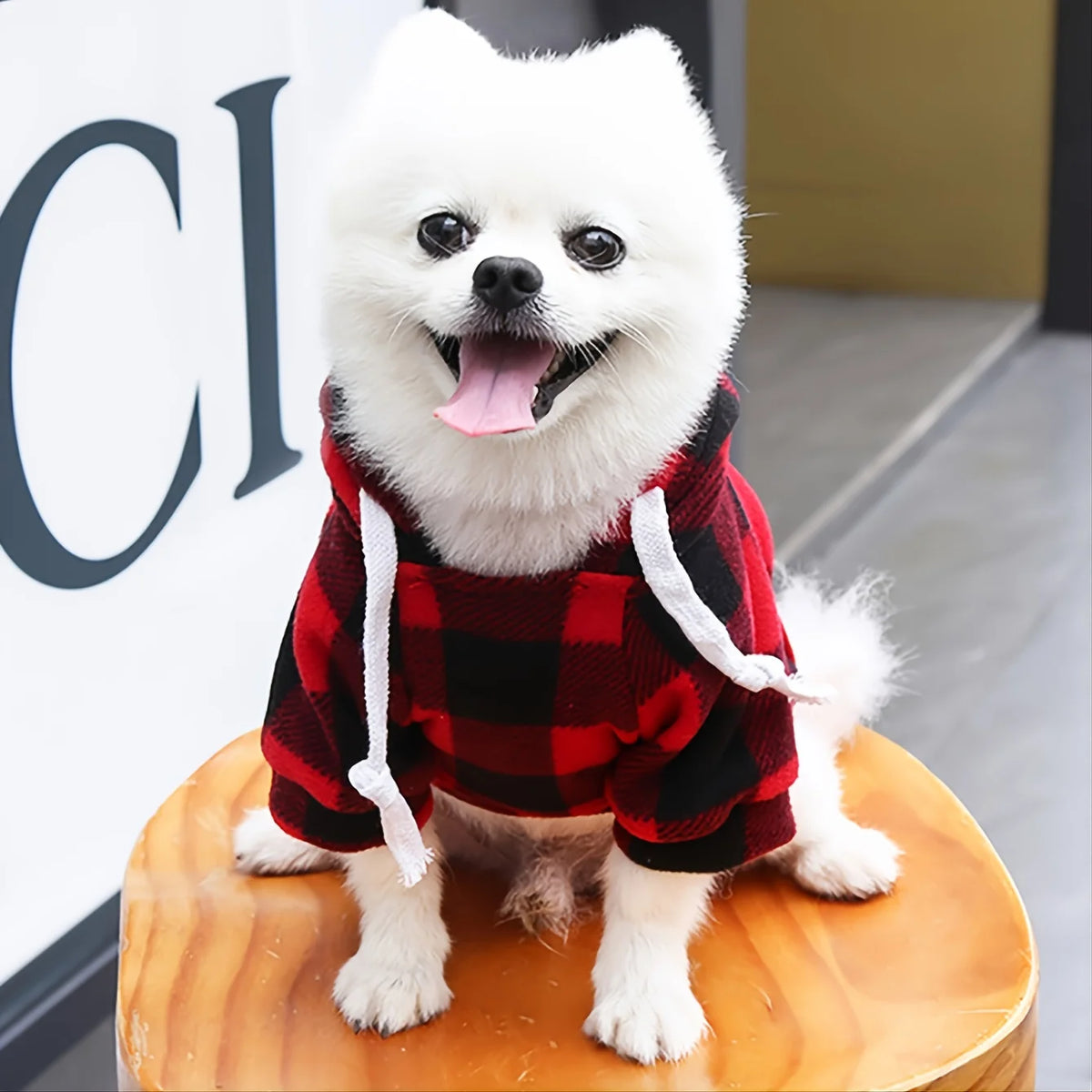 Un perro blanco vistiendo una sudadera con capucha de forro de tartán rojo y negro, sentado sobre una superficie de madera.