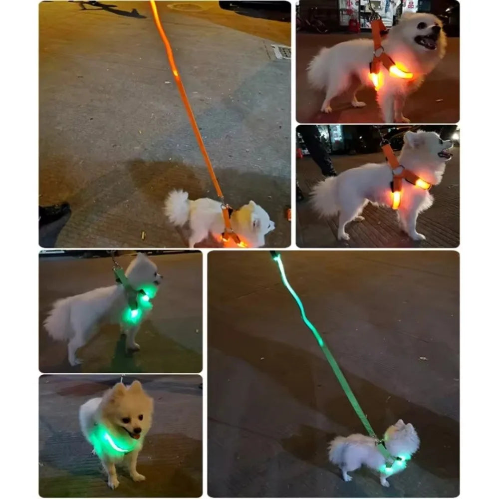 Colección de fotos mostrando un arnés de perro LED que ilumina para la seguridad de las mascotas.