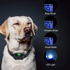 A golden retriever wearing a black dog training collar with various modes displayed on a screen.