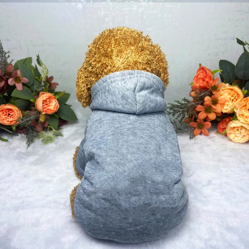 A fluffy grey dog hoodie with a golden fur hood resting on a white surface surrounded by orange and green floral arrangements