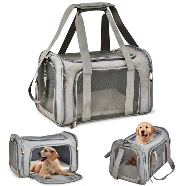 A gray travel pet carrier bag is shown with a padded interior and handles, alongside a dog sitting inside.