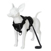 A white dog wearing a black reflective adjustable harness and leash.