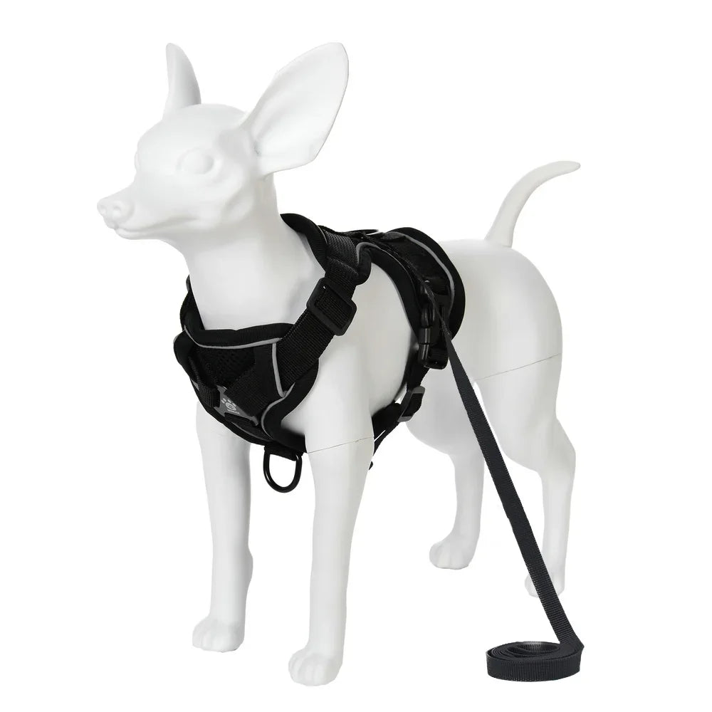 A white dog wearing a black reflective adjustable harness and leash.