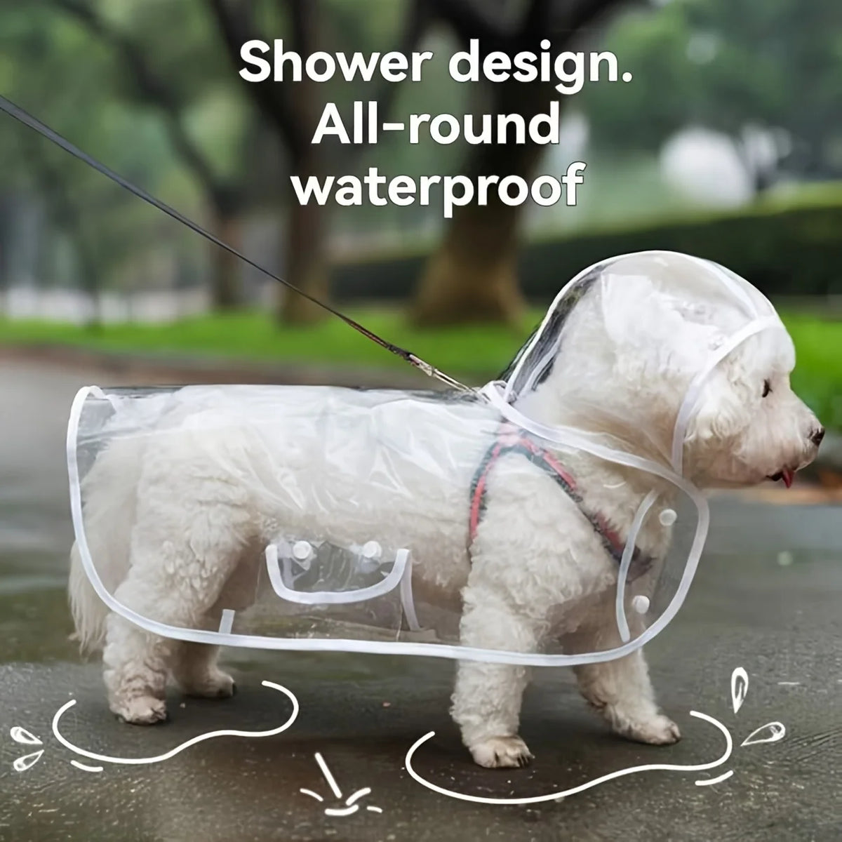 Un perro blanco con un impermeable transparente impermeable caminando sobre pavimento mojado.