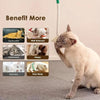 Eine hellfarbige Katze interagiert mit einem natürlichen Sisal-Kauspielzeug und zeigt verschiedene Emotionen.