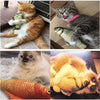 Five catnip fish plush toys for interactive play featuring various colors and textures.