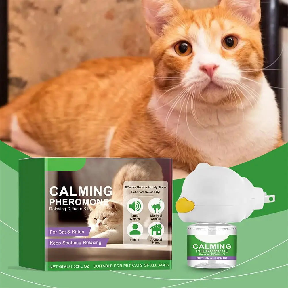 An orange tabby cat sitting next to a white diffuser bottle for calming pheromone relief
