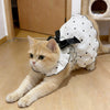 A fluffy orange tabby cat wearing a white polka-dot summer dress with a black bow and a leash ring.