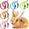 A rabbit wearing a pink harness and leash set with various colored nylon harnesses displayed around it.