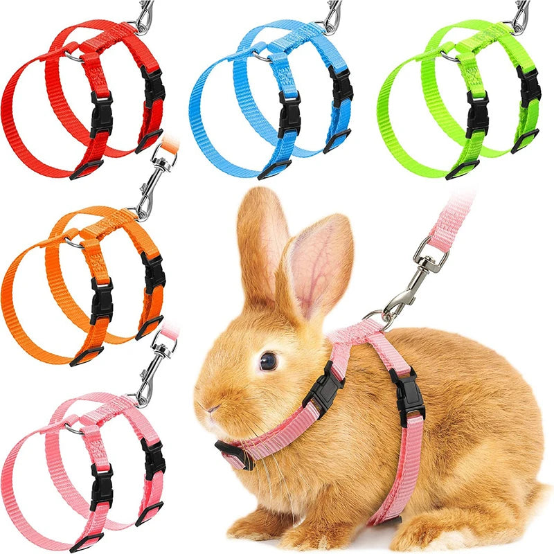 A rabbit wearing a pink harness and leash set with various colored nylon harnesses displayed around it.