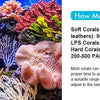 Information on how much PAR light is needed for different types of corals like soft, LPS, and hard corals.