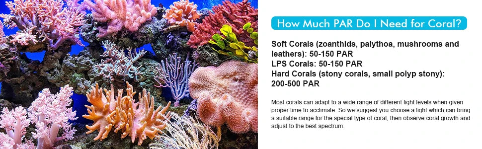 Information on how much PAR light is needed for different types of corals like soft, LPS, and hard corals.