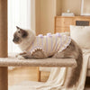 A fluffy gray cat wearing a yellow and white striped mesh bow dog suit resting on a wooden surface.