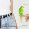 A hand holds a yellow and green parrot attached to an ultra-light elastic parrot release rope.