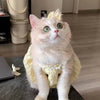 Un chat rose pâle et duveteux portant une robe à couronne florale jaune, regardant vers le haut.