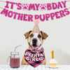 Un perro con una corona de cumpleaños es destacado bajo una pancarta rosa que dice 'Es mi cumpleaños Mamá Puppers