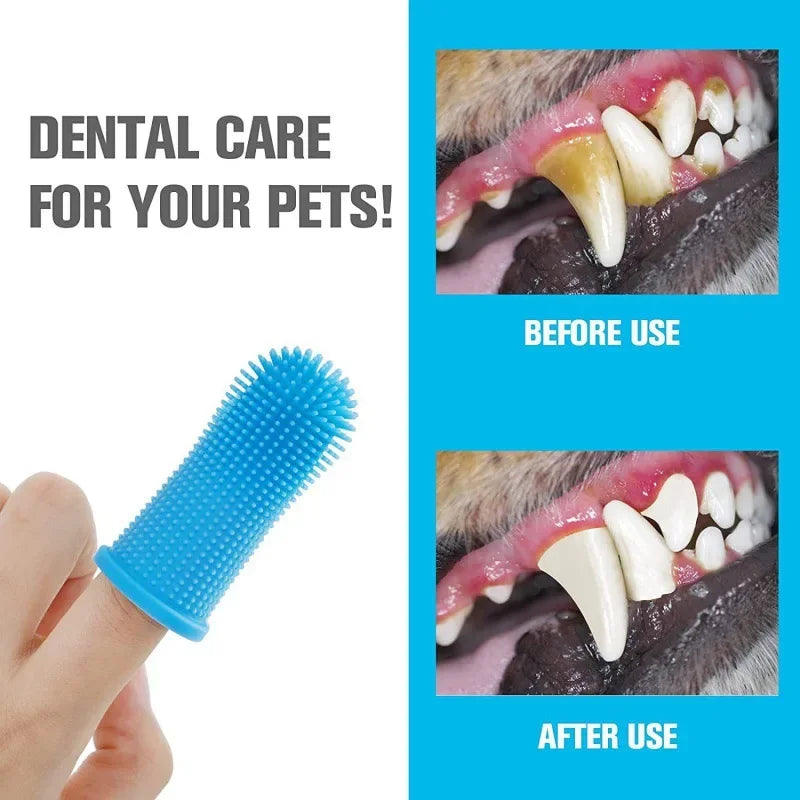 A blue silicone pet toothbrush being used on a cat's teeth before and after cleaning.