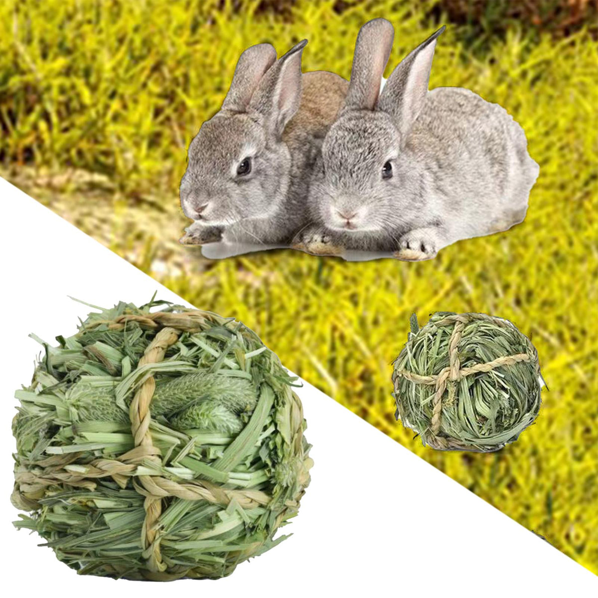 Zwei flauschige graue Kaninchen liegen auf grünem Gras neben einem Timothy Grass Kauspielzeugball