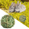 Zwei flauschige graue Kaninchen liegen auf grünem Gras neben einem Spielzeug zum Kauen aus Timothy Grass