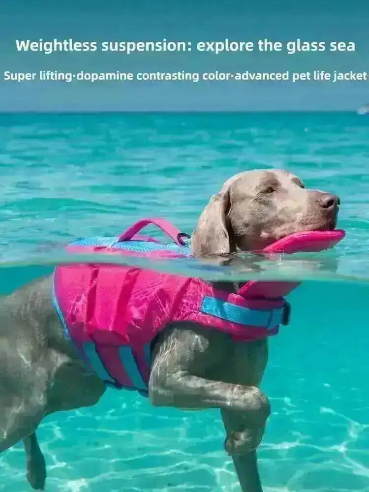 A Labrador dog wearing a bright pink and blue life jacket is swimming in clear blue water.