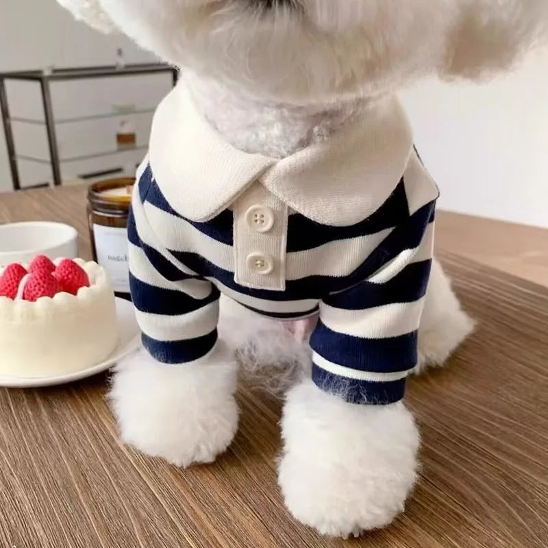 A white and navy striped dog hoodie worn by a fluffy dog, next to a small cake.