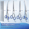 A set of five stainless steel grooming scissors for small to large dogs or cats used on various body parts.