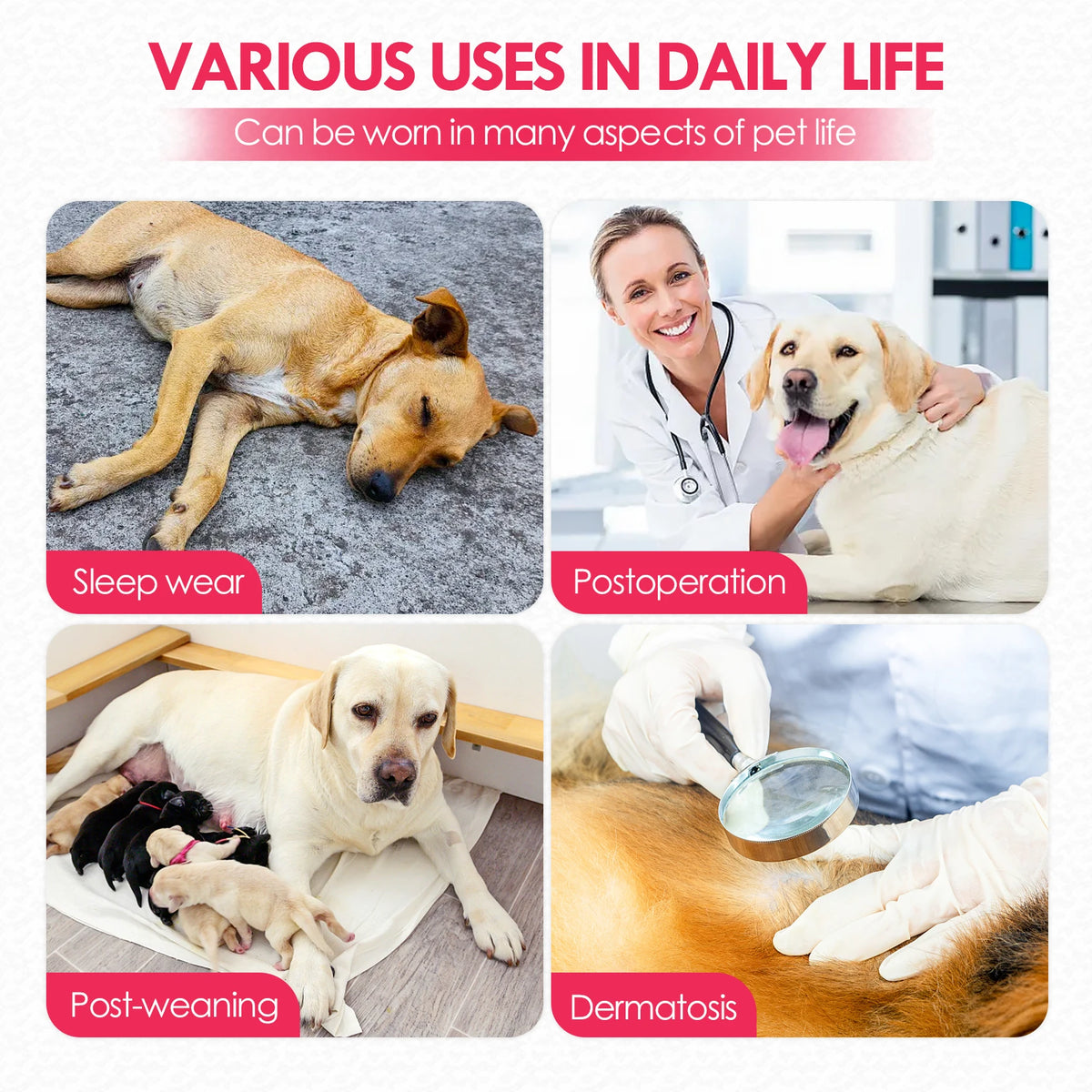 Various uses in daily life showing the Dog Surgery Recovery Suit for sleepwear, postoperation, post-weaning, and dermatitis t