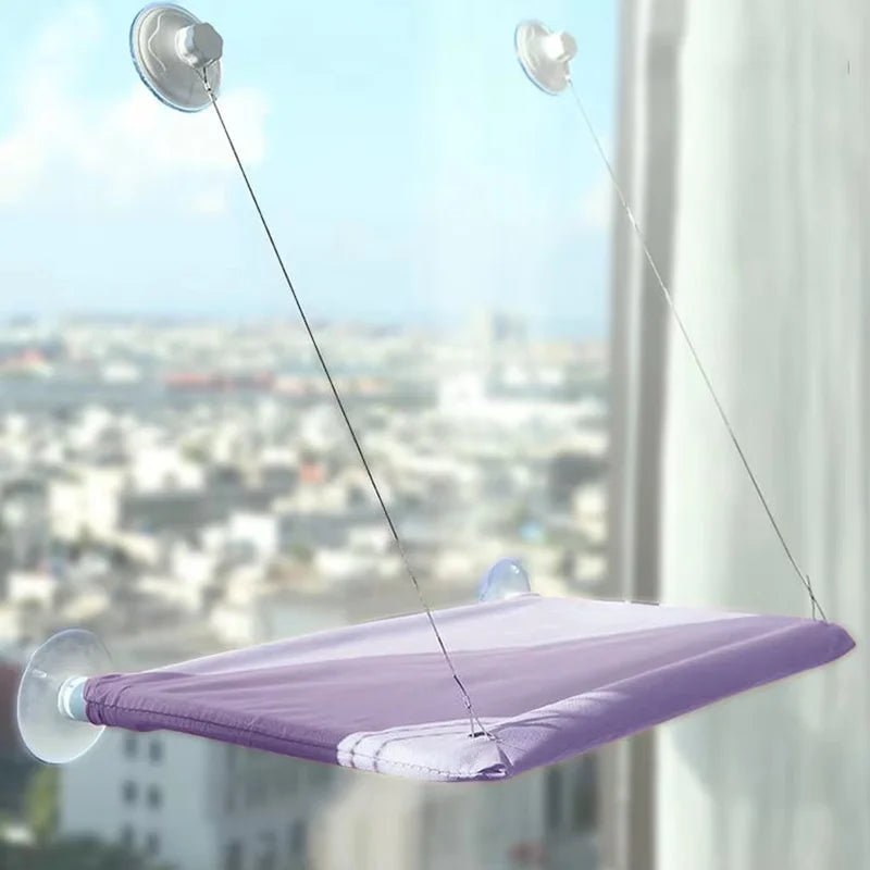 A purple hanging cat hammock window perch suspended by thin lines and suction cups, viewed from below.