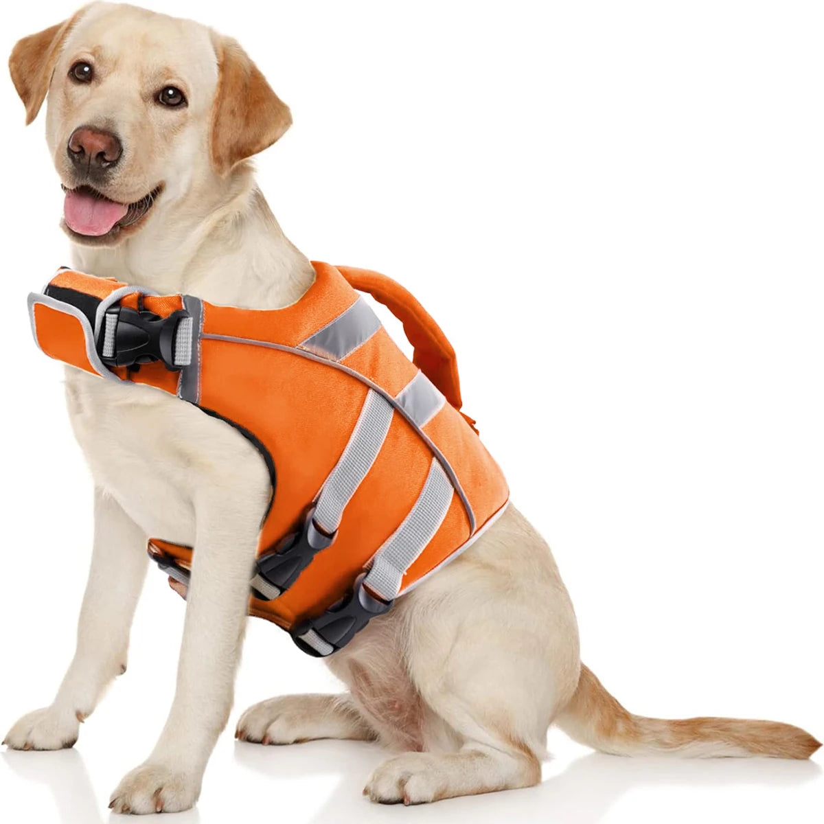 Ein helles Hundespiel trägt eine orange-graue wasserdichte reflektierende Rettungsweste für Hunde.