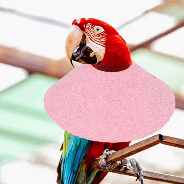Un colorido guacamayo rojo con un gran pico posado en una estructura de madera.