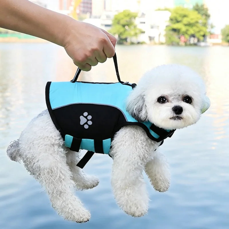 A white poodle wearing a blue life jacket is being held by a person over water.
