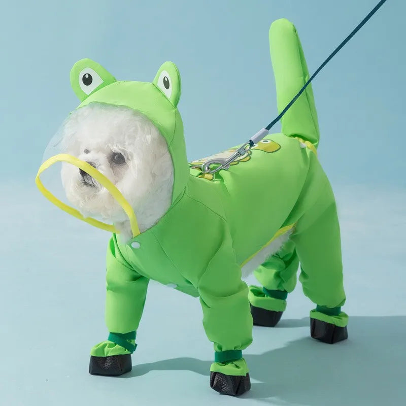 Perro cachorro impermeable de color verde lima con capucha, de pie sobre una superficie azul claro.