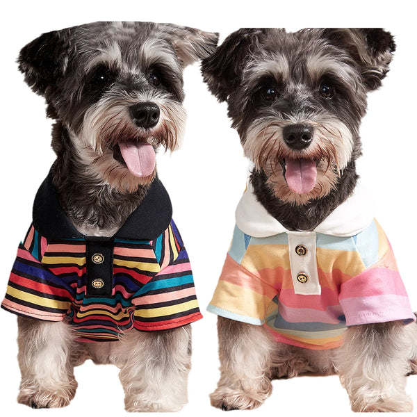 Two small dogs wearing classic stripe polo shirts, one black and others multicolored.