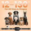 A set of remote training e-collars for dogs, including various breeds and sizes, shown with a collar and leash.