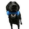 A black dog is holding a blue dual-action dental chew toy with a rope for tugging.