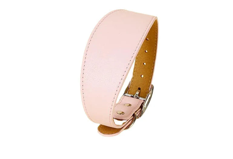 A pink wide leather dog collar with a brass buckle and tan leather strap.
