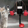 Ein Kätzchen spielt mit einem interaktiven Katzen-Box-Toy, das wie ein schwarzes Mikrofon mit roten Boxhandschuhen aussieht.