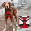 A red dog harness for a Labrador puppy is shown against a snowy outdoor background.