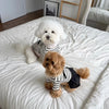 Striped Pet Dress for Small Dogs