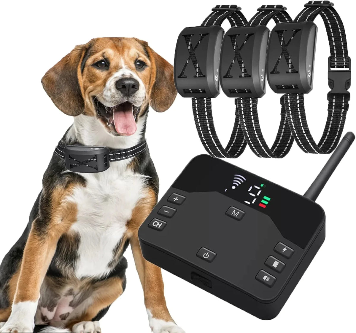 A dog wearing a black training collar with attached pads and a remote control device for pet training.